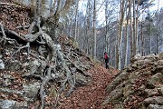 22 Prevalenza di faggeta...ben radicata a vista !